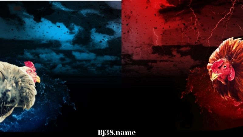 Đá gà SV388 tại nhà cái Bj38